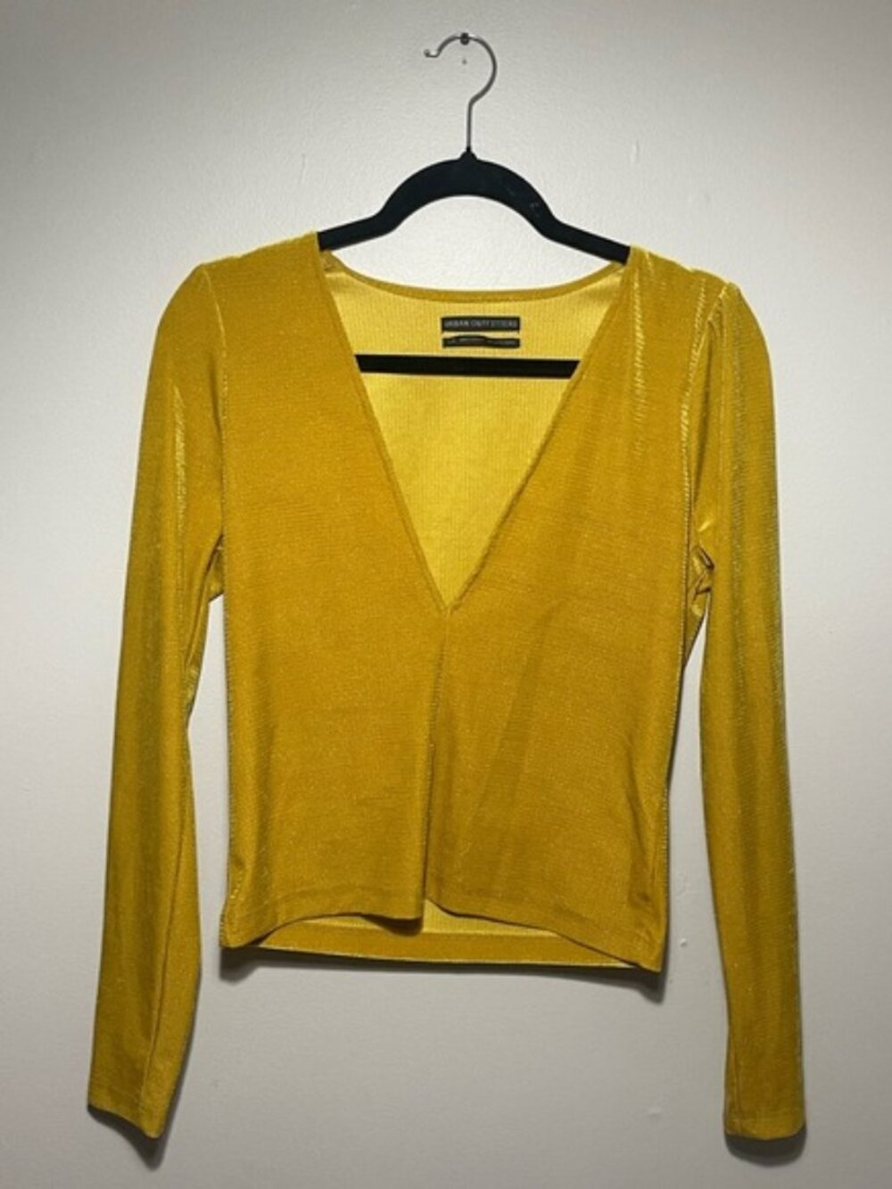Shimmer Plunging V-Neck Long Sleeve Top